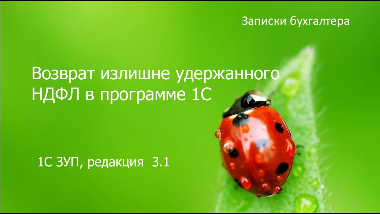 Как вернуть излишне удержанный НДФЛ по ЗУП